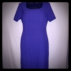 Chic Purple Dress Marc New York 8